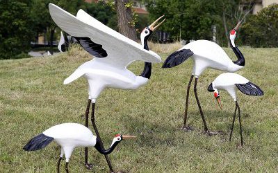 公園草坪上幾只玻璃鋼仿真動(dòng)物丹頂鶴雕塑