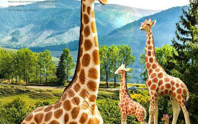 公園景區(qū)玻璃鋼彩繪大型仿真動(dòng)物長(zhǎng)頸鹿雕塑