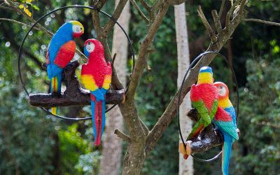 動(dòng)物園樹(shù)上休息的玻璃鋼彩繪仿真動(dòng)物鸚鵡雕塑