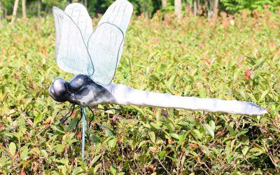 園林草坪中玻璃鋼仿真動物蜻蜓雕塑