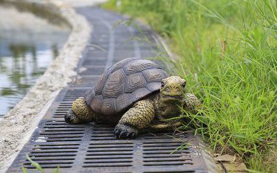 戶外花園玻璃鋼仿真動物烏龜?shù)袼?>
	                <div>戶外花園玻璃鋼仿真動物烏龜?shù)袼?/div>
	            </a>
	        	            <a href=