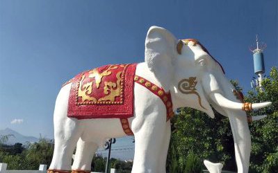 戶外大象仿真動物玻璃鋼彩繪大象雕塑